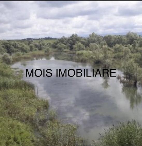 Teren Construcții extravilan de 58000 mp, în Avrig