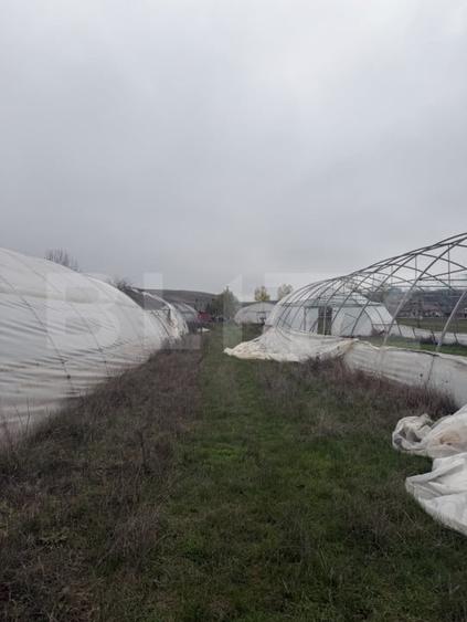 Teren agricol extravilan de 11500 mp, în Exterior Vest