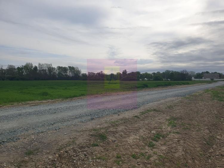 Teren în Măgurele