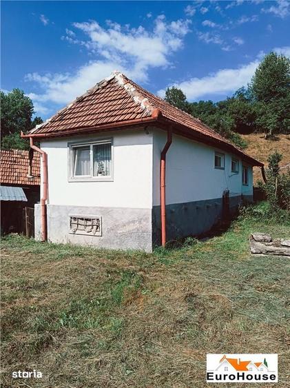 Casă cu 2 camere cu Teren 10000 Mp în Ciuruleasa