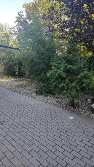 Casă cu 2 camere cu Teren 300 Mp în Central