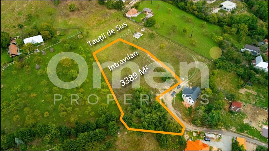 Teren agricol intravilan de 3389 mp, în Tăuții de Sus