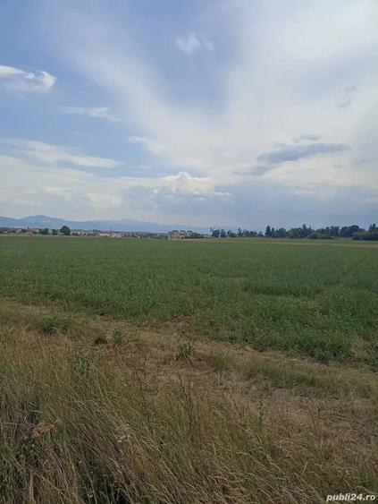 Teren de 400 mp, în Central