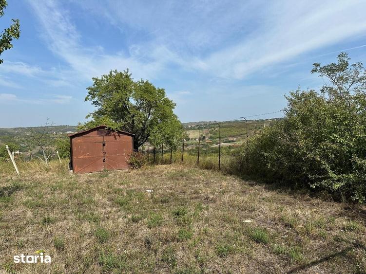 Teren de 1665 mp, în Podgoria