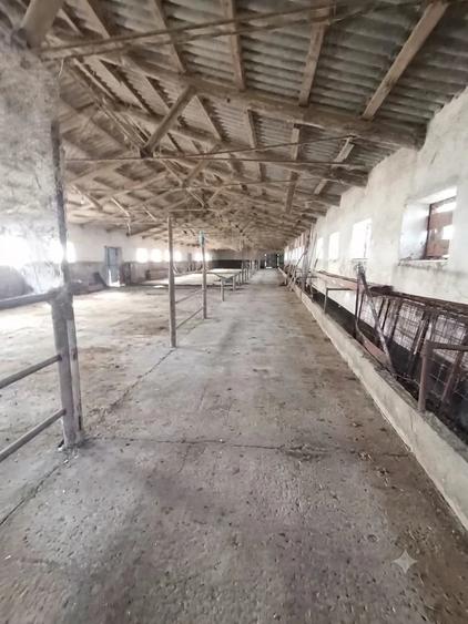 Spațiu comercial, de 2,500 mp, în Siliștea