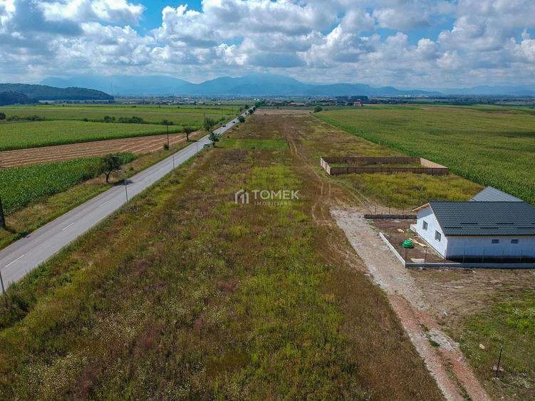 Teren Construcții intravilan de 1170 mp, în Bod