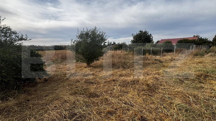 Teren Construcții extravilan de 1416 mp, în Mischii