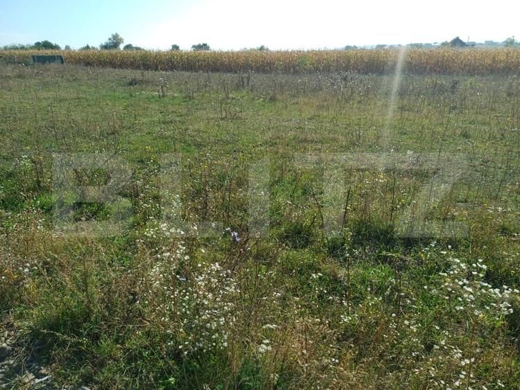 Teren Construcții extravilan de 800 mp, în Moara