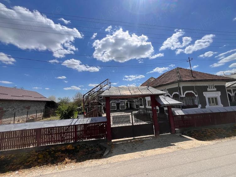 Casă cu Teren 4000 Mp în Căprioru