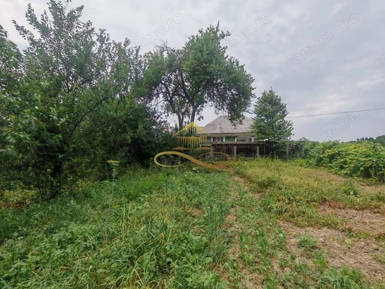 Casă cu 4 camere cu Teren 3300 Mp în Țârdenii Mari