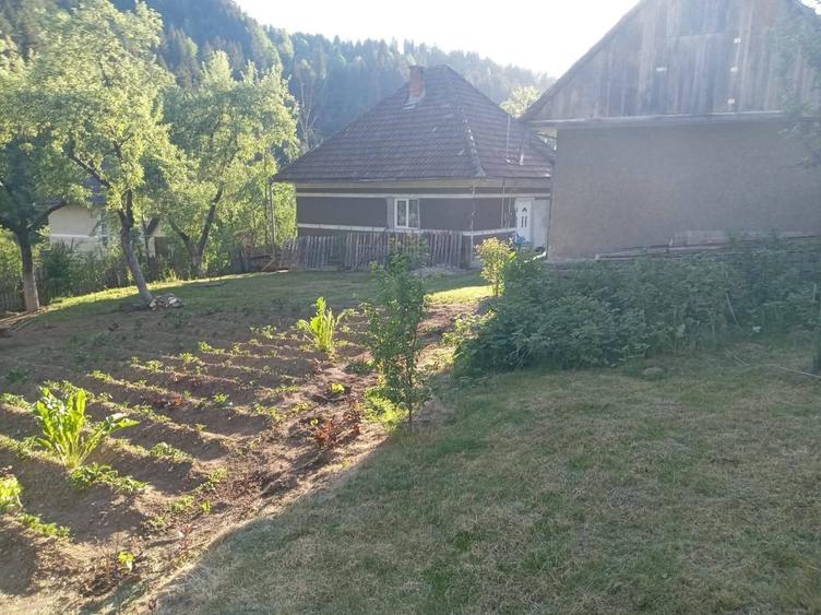 Casă cu 3 camere în Scărișoara