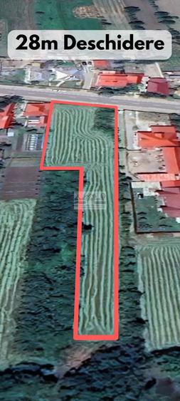 Teren de 3129 mp, în Homocea