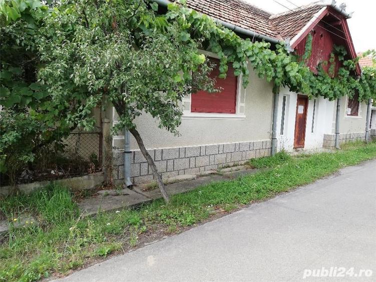 Casă cu 4 camere cu Teren 1700 Mp în Petid