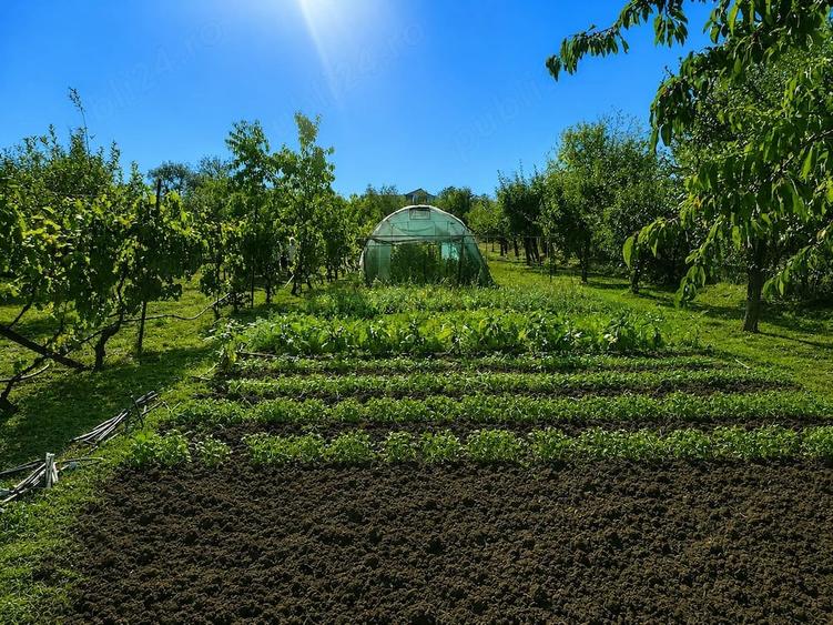 Casă cu 2 camere cu Teren 4400 Mp în Viile Satu Mare