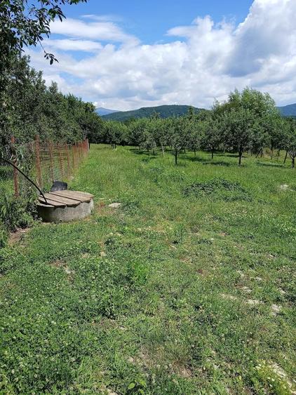 Teren de 6719 mp, în Slămnești