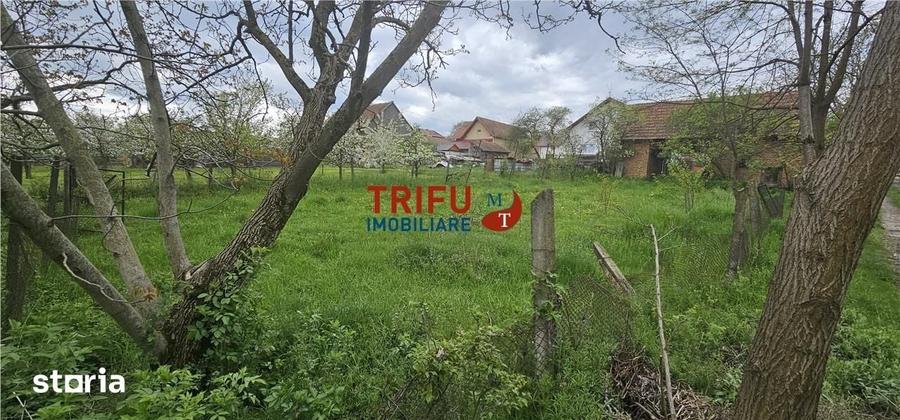 Casă cu 2 camere cu Teren 3101 Mp în Galda de Jos
