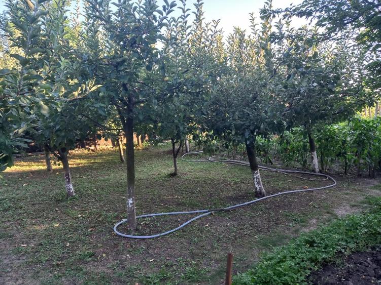 Casă individuală cu 4 camere cu Teren 3590 Mp în Colceag