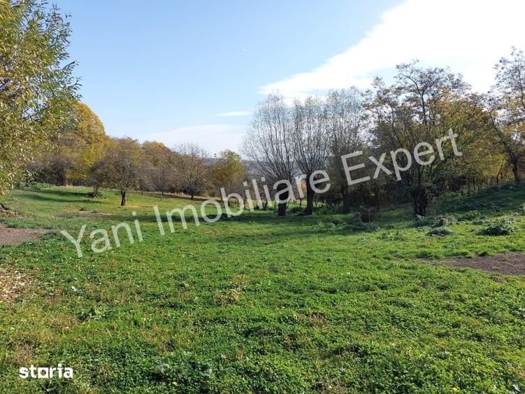 Teren de 34600 mp, în Tigveni