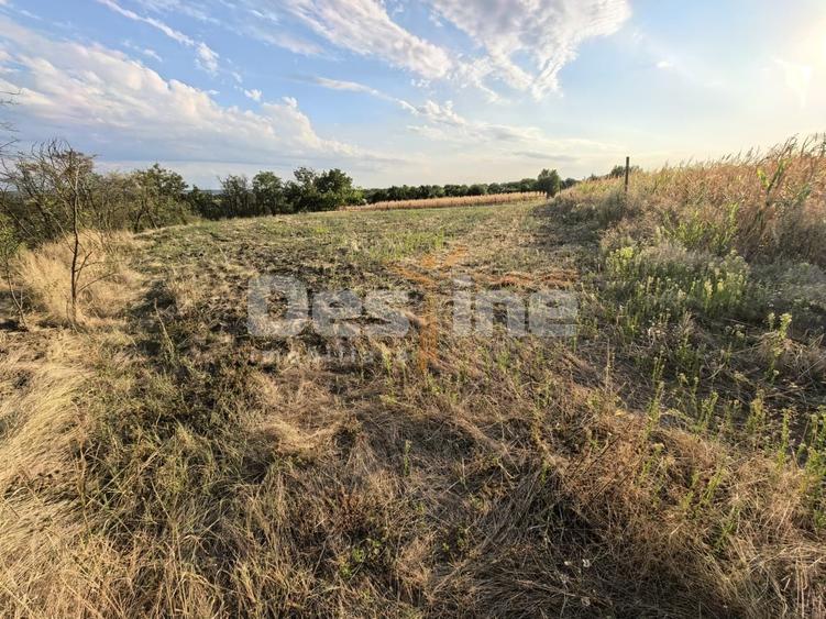 Teren Construcții intravilan de 7600 mp, în Cârniceni