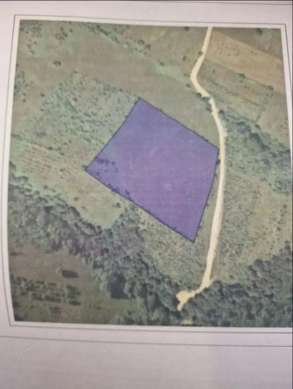 Teren de 16441 mp, în Podeni