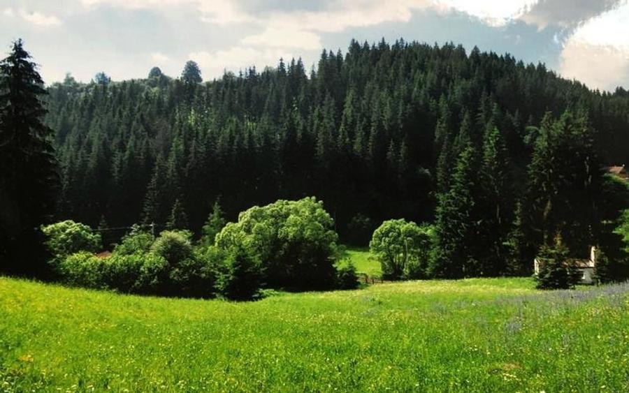 Teren Construcții intravilan de 34000 mp, în Vărșag