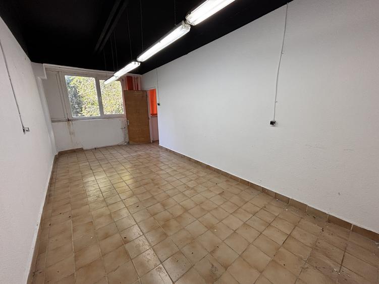 Birou, de 57.700000762939 mp, în Costin Georgian