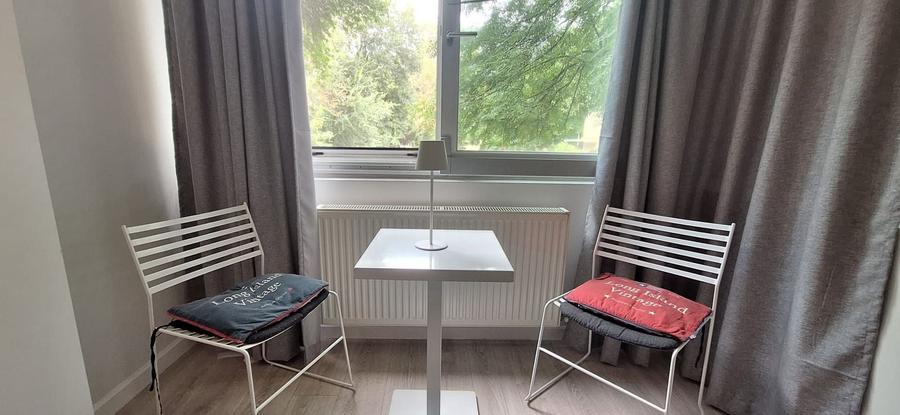 Apartament 2 camere de inchiriat Frederic Chopin vedere la parc - 3
