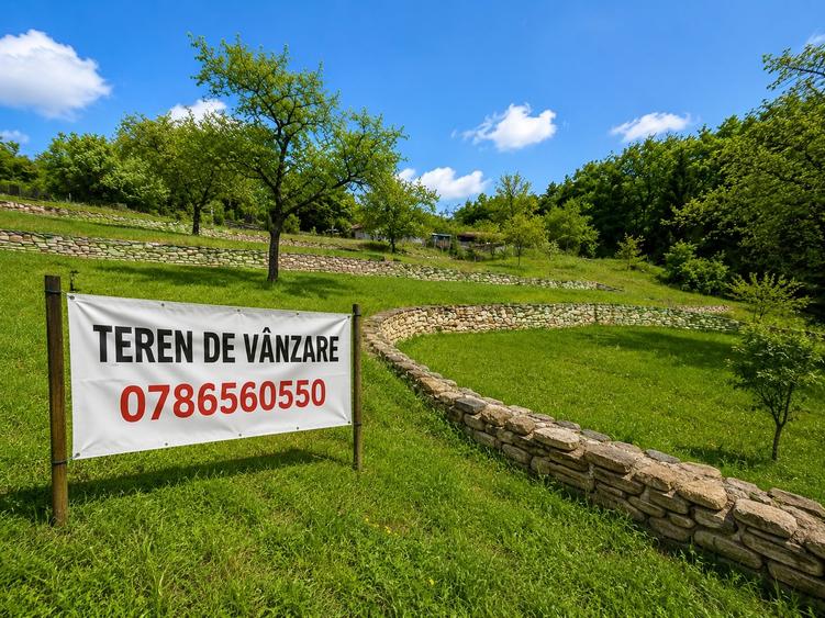 Teren Construcții intravilan de 3900 mp, în Făget