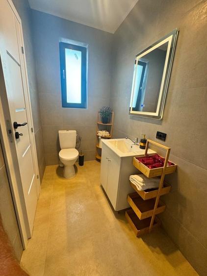 Casa Individuala Comuna Berceni - P+1+Pod 160mp Utili 450mp Teren - 18