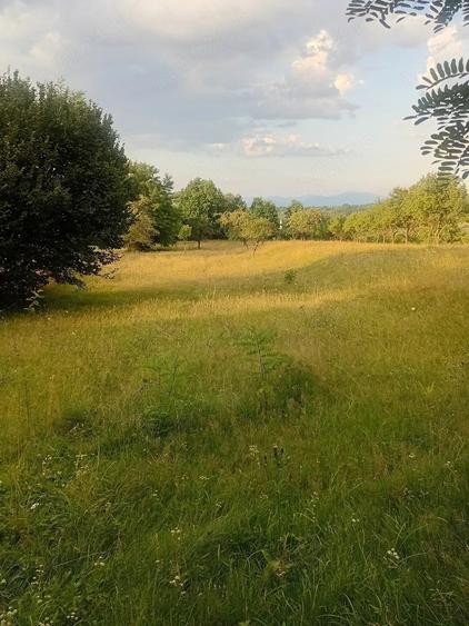 Teren de 3112 mp, în Breb