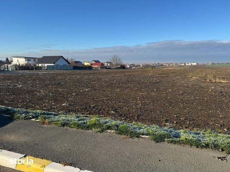 Teren de 5000 mp, în Valu lui Traian