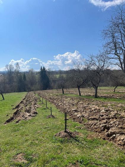 Casă cu Teren 20000 Mp în Vârfurile