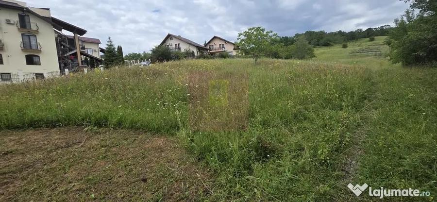 Teren în Mușcel