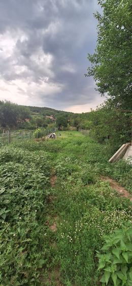 Casă cu 3 camere în Sângătin