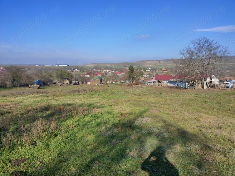 Teren de 2000 mp, în Topolog