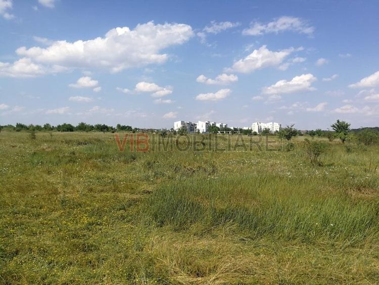 Baneasa - Piscul Reghiului, teren intravilan, suprafata 727 mp - 1