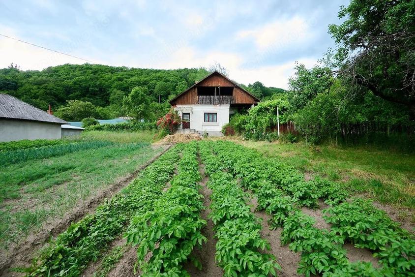 Casă cu 3 camere cu Teren 4696 Mp în Central
