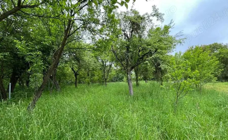 Casă cu 4 camere cu Teren 2200 Mp în Viscri