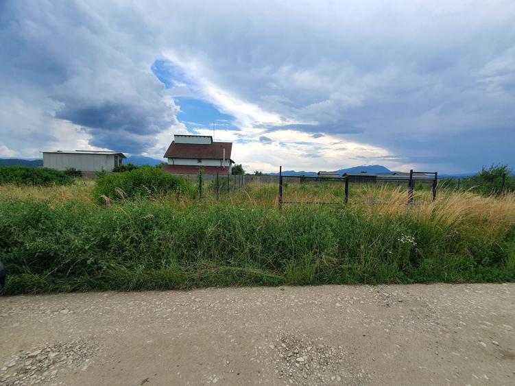 Teren Construcții intravilan de 526 mp, în Cristian