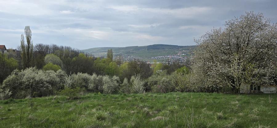 Teren Construcții intravilan de 3347 mp, în Chinteni