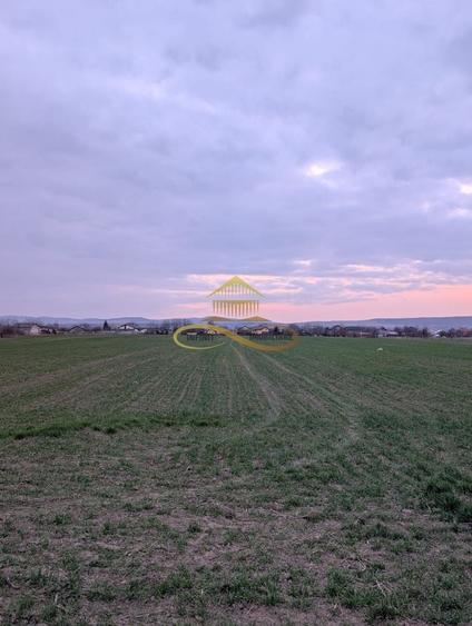 Teren agricol intravilan de 7774 mp, în Lilieci