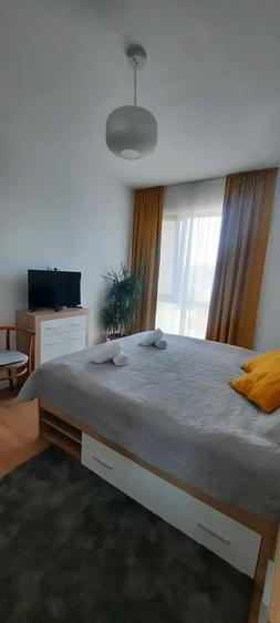 Apartament cu 2 camere decomandat în Piața Cluj