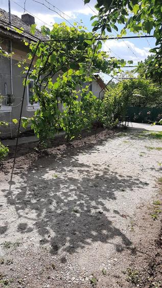 Casă cu Teren 500 Mp în Teslui