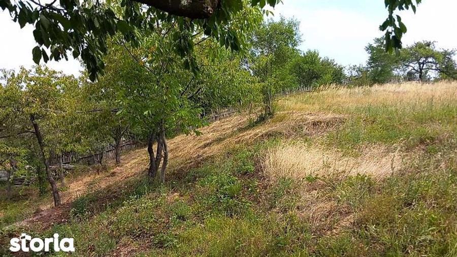 Teren de 5754 mp, în Ohaba Lungă