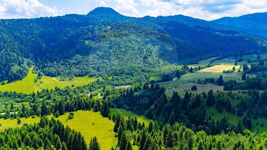 Teren Construcții intravilan de 2800 mp, în Brădet