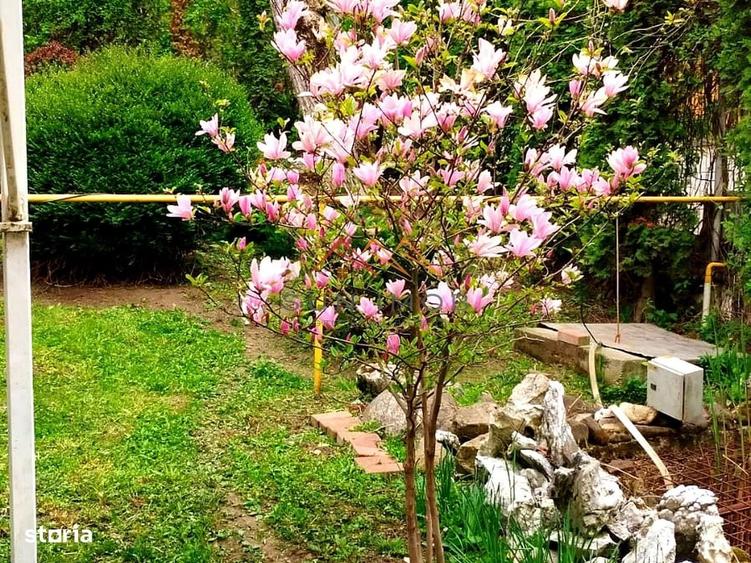 Casă cu 3 camere în Poiana