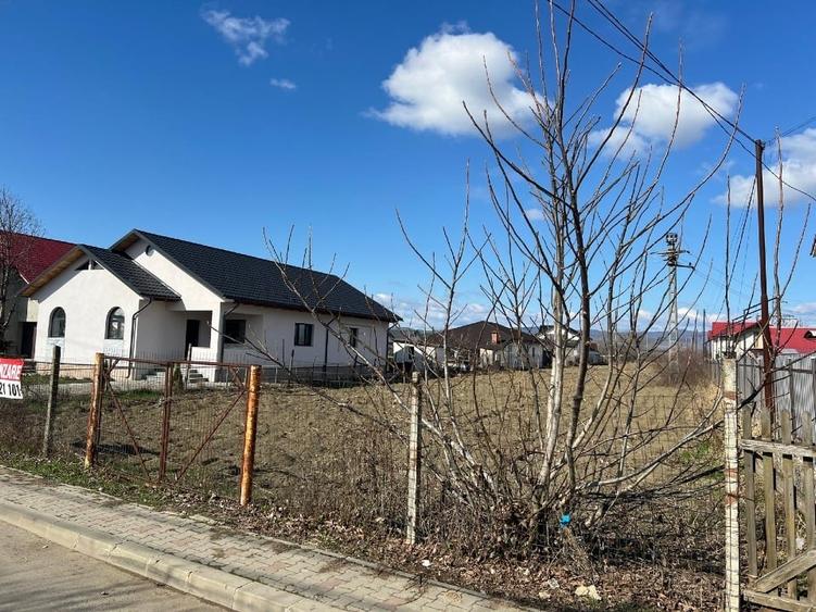 Teren Construcții intravilan de 3712 mp, în Sud