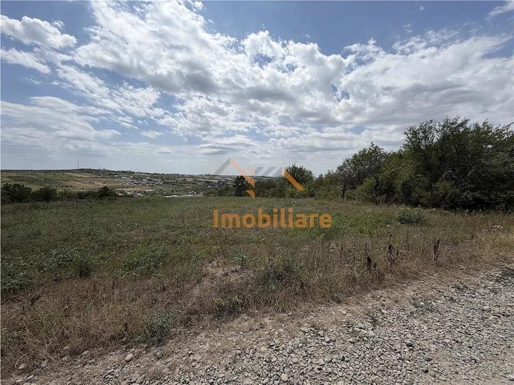 TEREN INTRAVILAN | 5997 MP | 35 ML FRONT STRADAL | ZONA IZVORULUI | SALDABAGIU DE MUNTE - 2