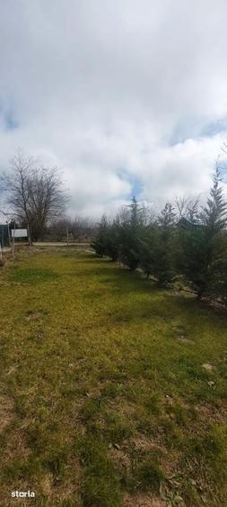 Teren de 830 mp, în Central