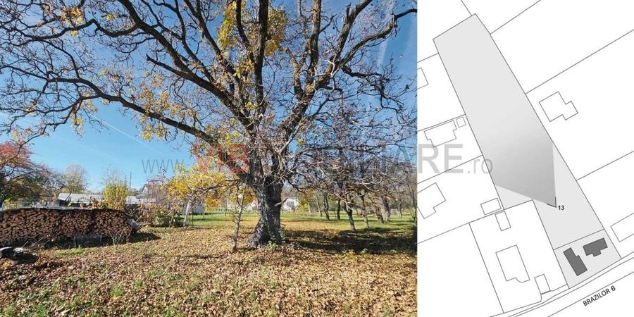 Teren intravilan de 3163 mp, în Brebu Mânăstirei